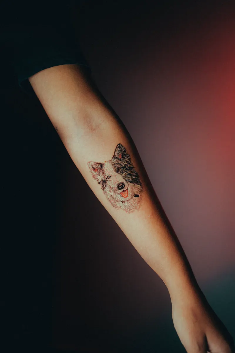 Tatuaje microrealista de perro a color hecho en SRCINK STUDIO